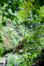 La Fortuna, Costa Rica